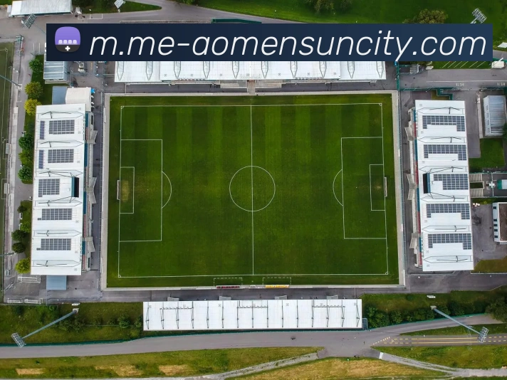 太阳城网站平台生态图